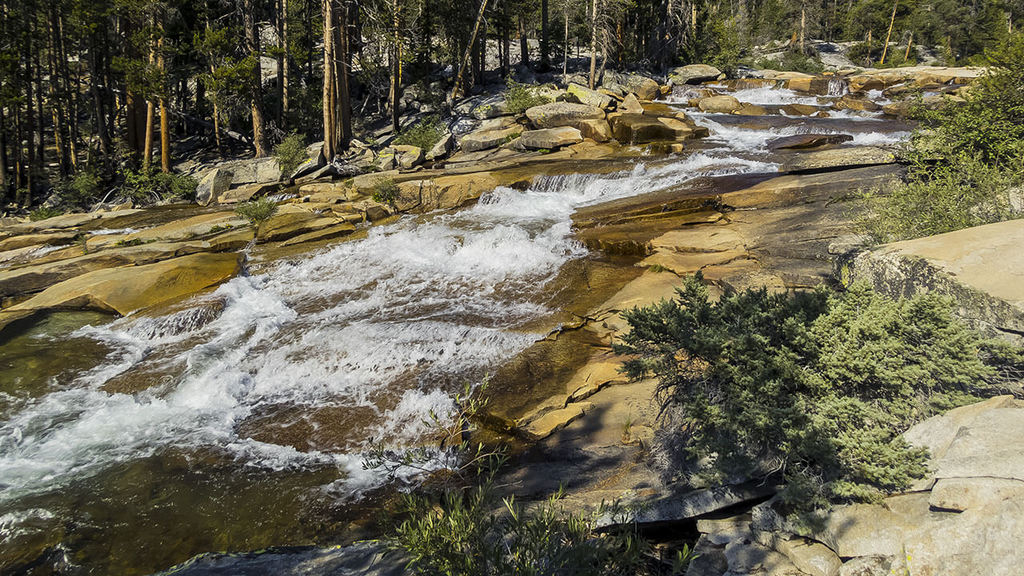 Ultralight Fly Fishing • Bear Creek 2015 (photo heavy)